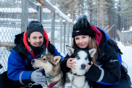 husky ride lapland