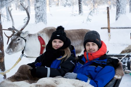 rendeer farm lapland